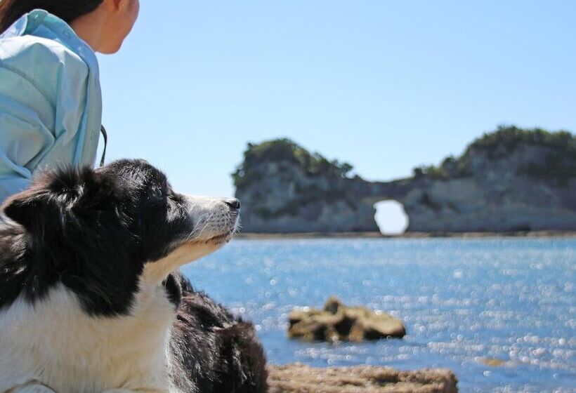 בית מלון כפרי Nanki Shirahama Dog Paradise