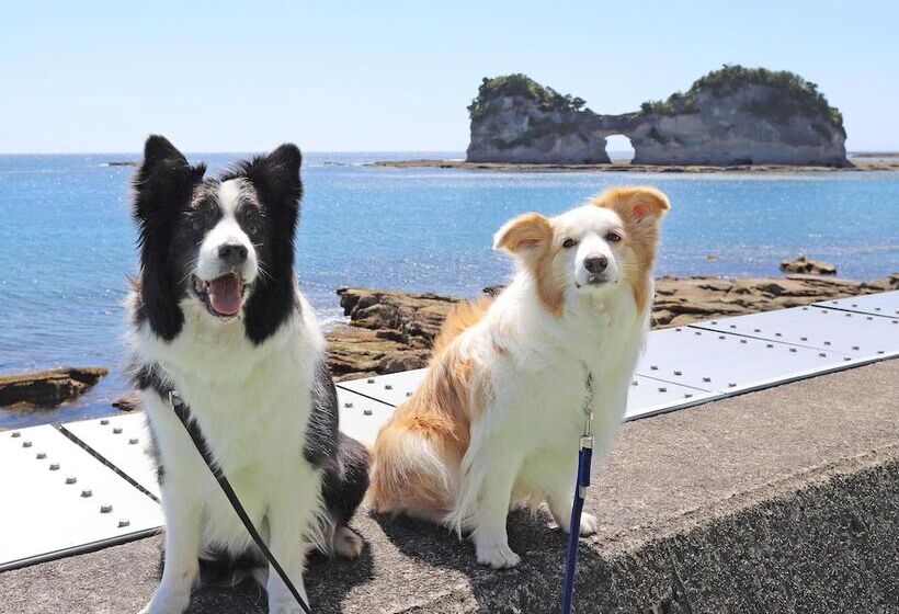 בית מלון כפרי Nanki Shirahama Dog Paradise