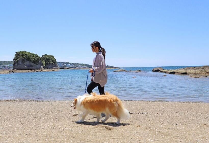 בית מלון כפרי Nanki Shirahama Dog Paradise