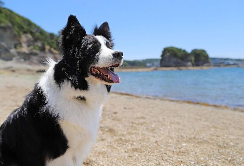 فندق Nanki Shirahama Dog Paradise