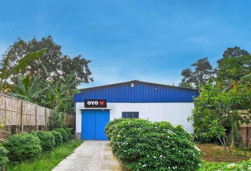 Отель Oyo Madhubani Ma Bramhamoye Resort