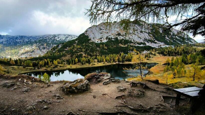 בית מלון כפרי Reischl,s Sport Und Wander