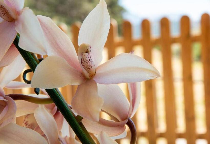 호텔 Rifugio La Principessa