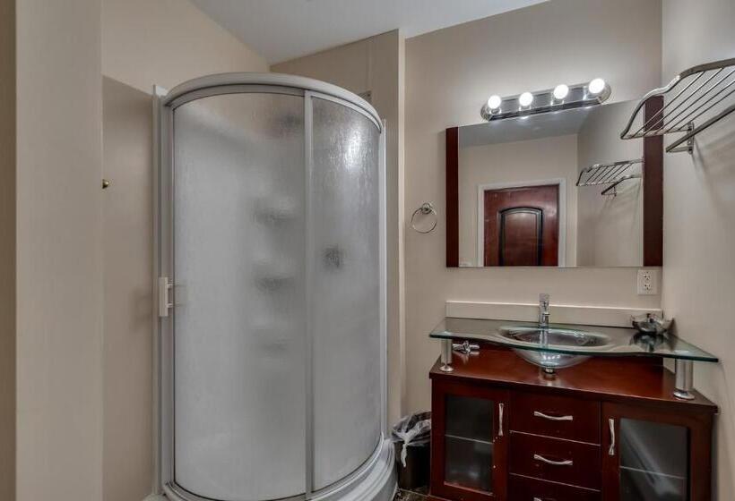 בית מלון כפרי The Roxy Cape Vincent