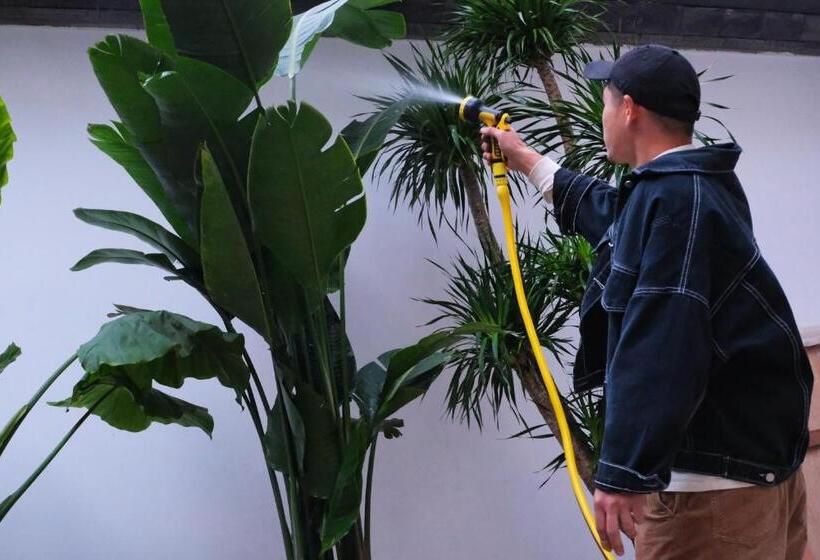 Пансион 大理古城渔月客栈