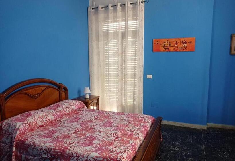 بنسيون Bnb Murphy