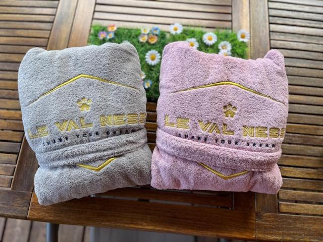 פנסיון Chalet Le Val Ness