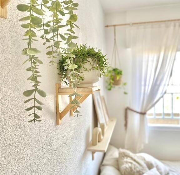 פנסיון La Casita De Mamacita