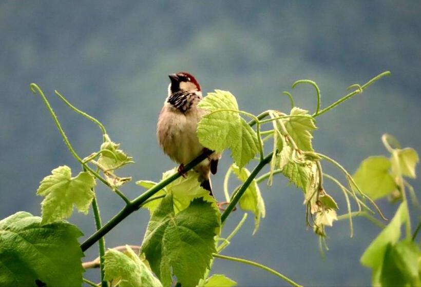 פנסיון La Vrille   Chambres D Hôtes