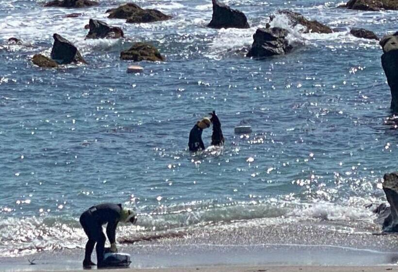 بنسيون Oasis Wadaura   Vacation Stay 89769v