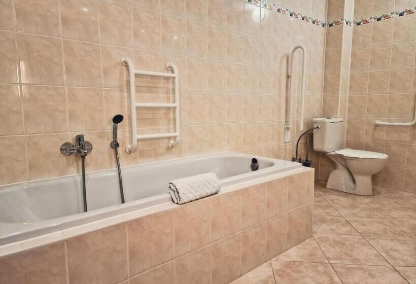 膳宿费 Penzion Harmonie Chodov