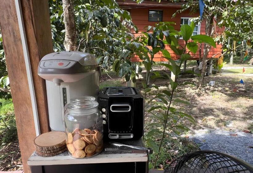 פנסיון Rat Min House