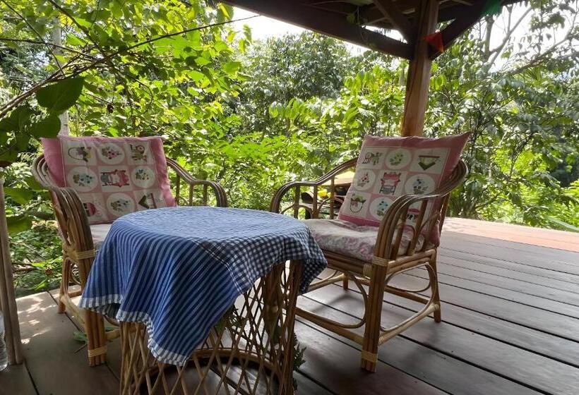 פנסיון Rat Min House