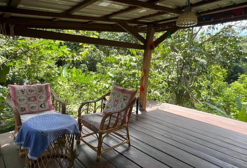 פנסיון Rat Min House