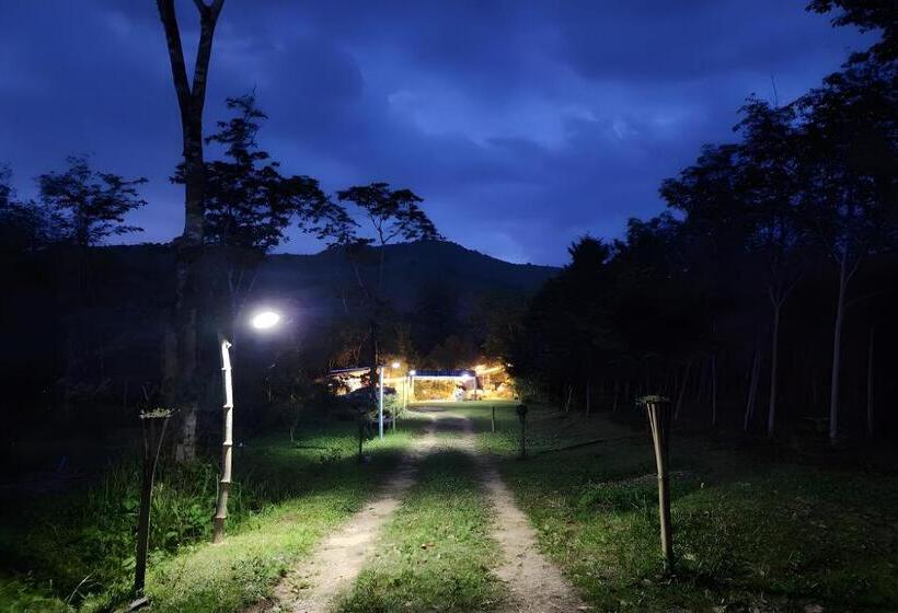 פנסיון Rat Min House