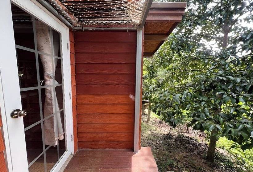 פנסיון Rat Min House