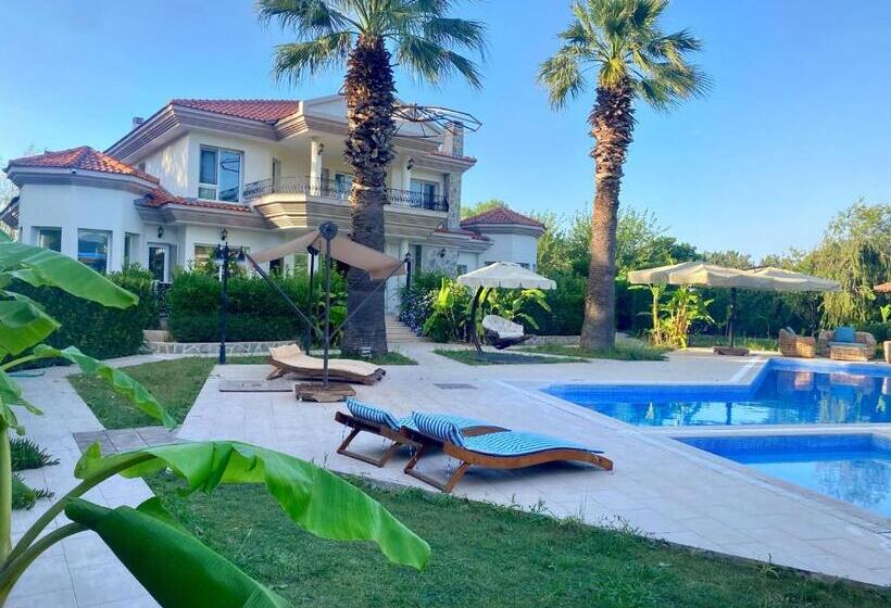 פנסיון Sunyear Guest Houses 1