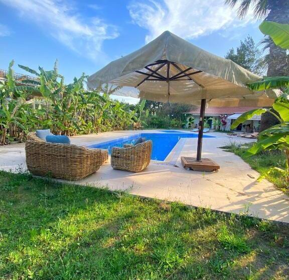 פנסיון Sunyear Guest Houses 1