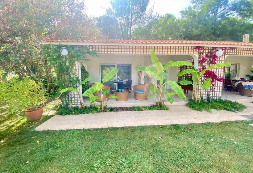 פנסיון Sunyear Guest Houses 1