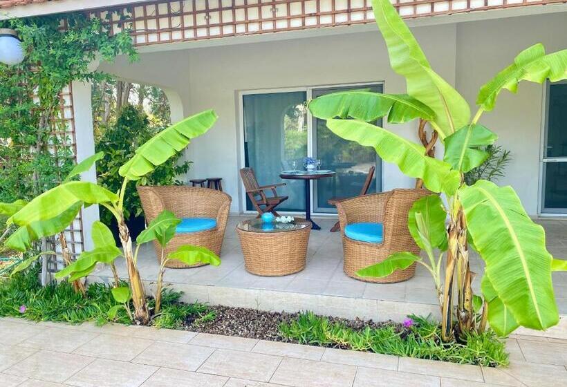 פנסיון Sunyear Guest Houses 1