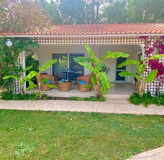 פנסיון Sunyear Guest Houses 1