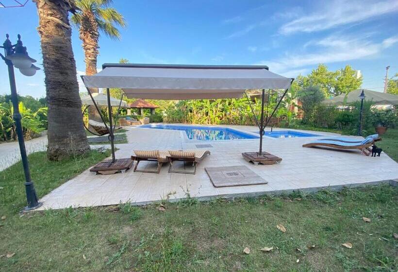 פנסיון Sunyear Guest Houses 1