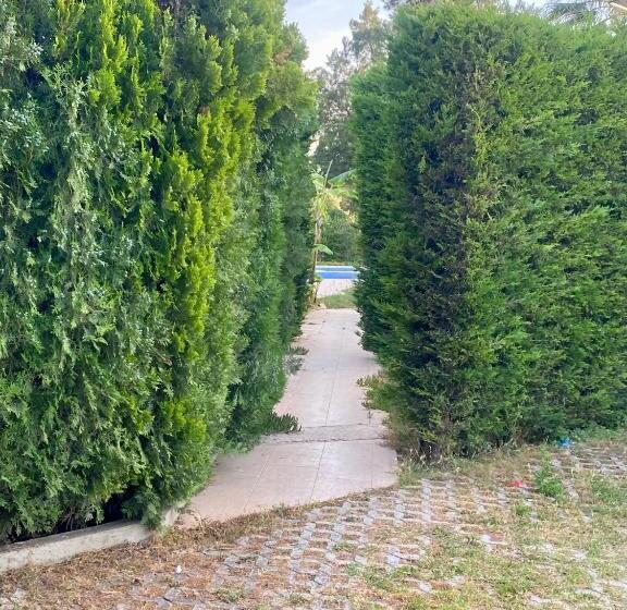 پانسیون Sunyear Guest Houses 1