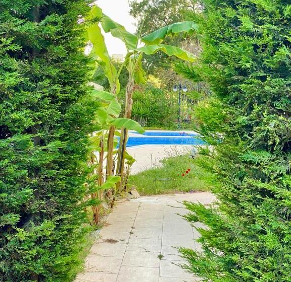 پانسیون Sunyear Guest Houses 1