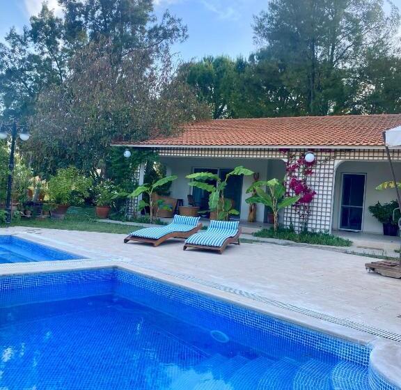 פנסיון Sunyear Guest Houses 1