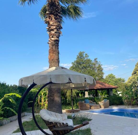 פנסיון Sunyear Guest Houses 1