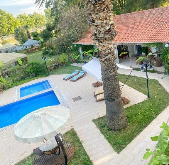 פנסיון Sunyear Guest Houses 1