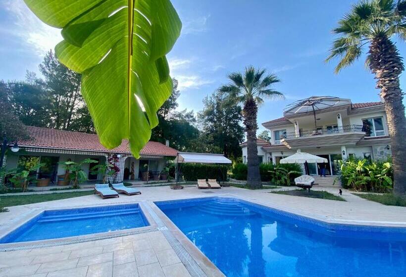 פנסיון Sunyear Guest Houses 1