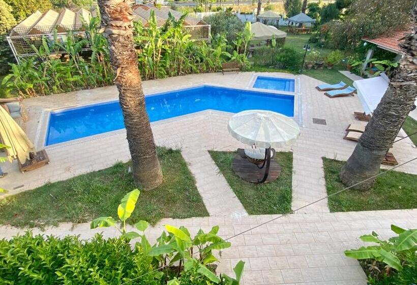 פנסיון Sunyear Guest Houses 1