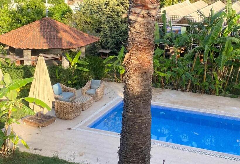 פנסיון Sunyear Guest Houses 1