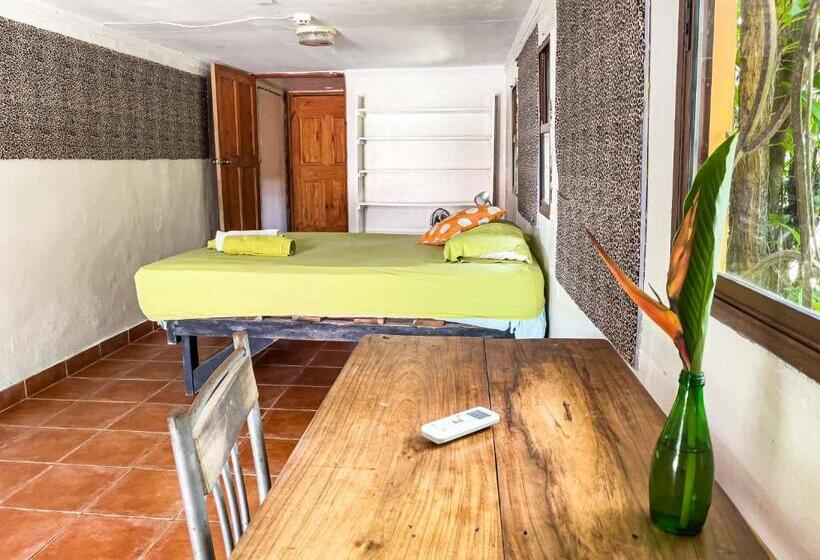 פנסיון Garden Rooms