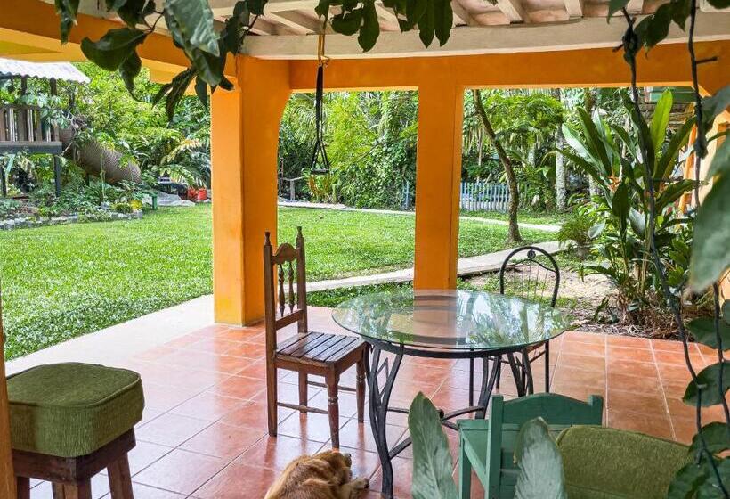 פנסיון Garden Rooms