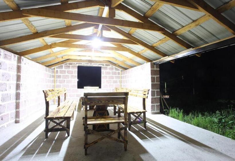 بنسيون Vs Guest House