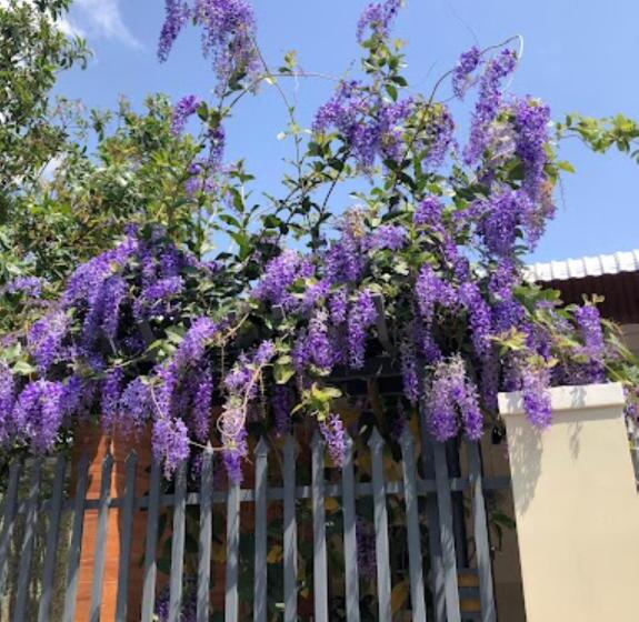 Sơn Hiển Hotel Cam Lâm