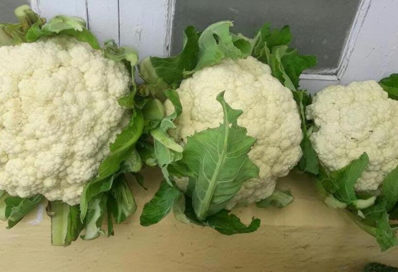 Общежитие Prabhus Place