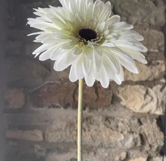 ベッドアンドブレックファースト Estrella Dreams