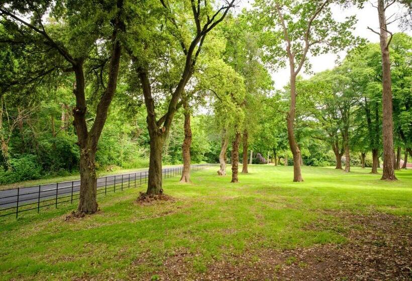 مبيت وإفطار Tyrrells Park