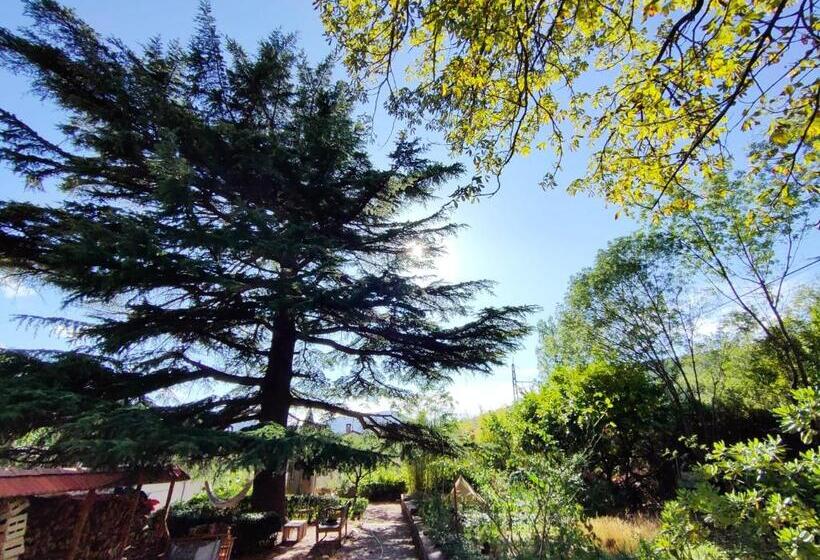 مبيت وإفطار Villa Marguerite