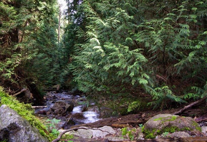 مبيت وإفطار Welcome Home