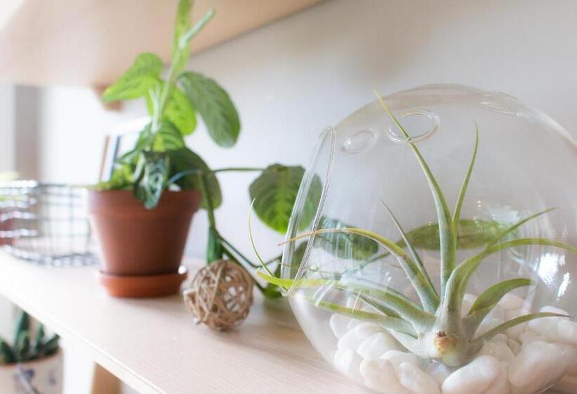 مبيت وإفطار Welcome Home