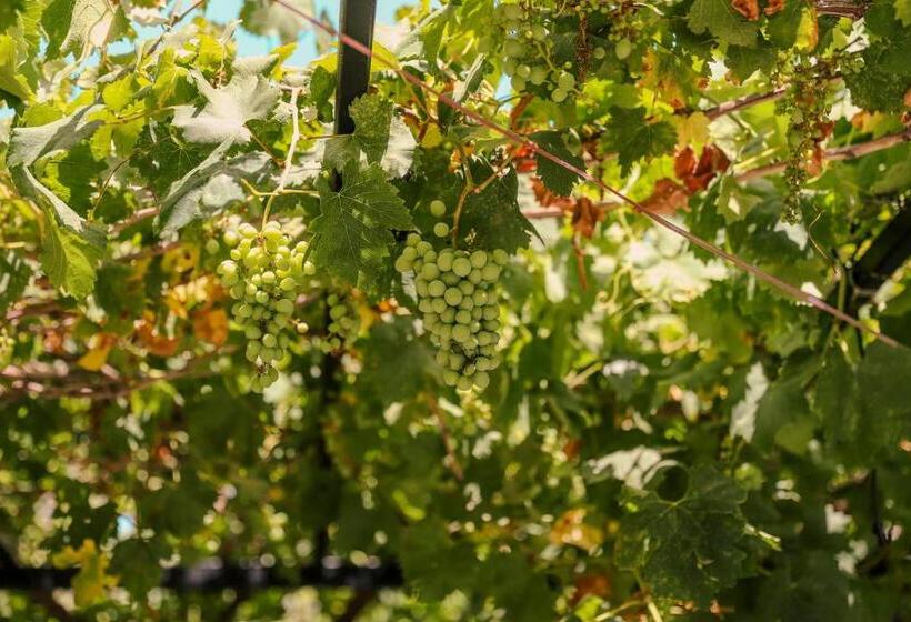 فندق Amarillo Alaçatı