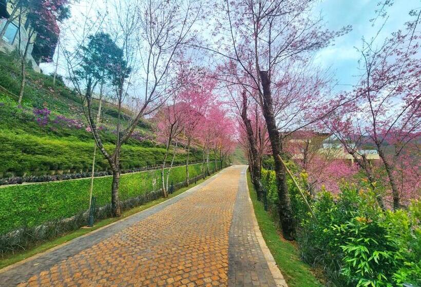 Отель Garrya Mù Cang Chải