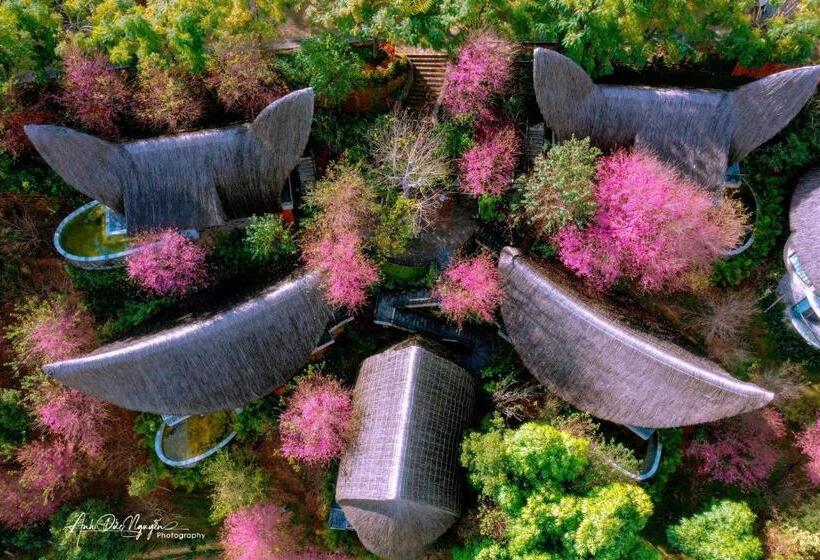 Отель Garrya Mù Cang Chải