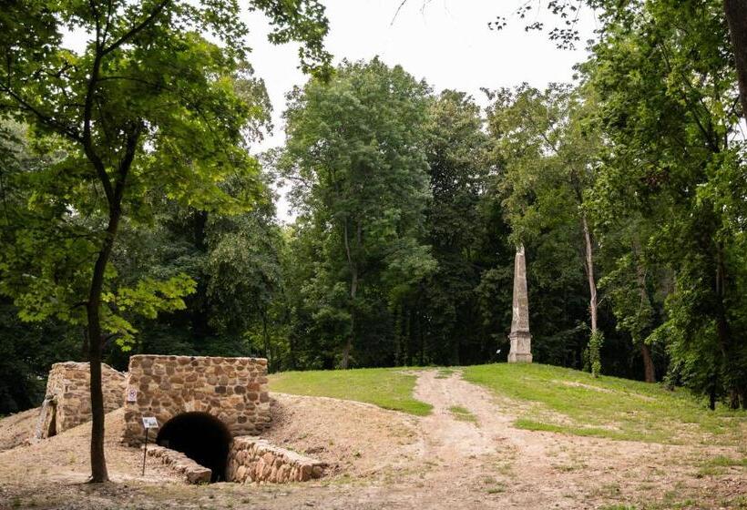 هتل Goya Vitality