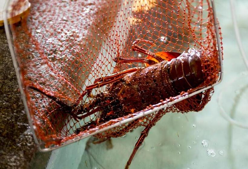 בית מלון כפרי Sennenmatsu