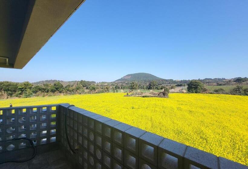 Jeju Management Pension